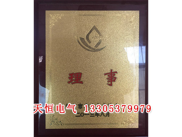  榮譽資質